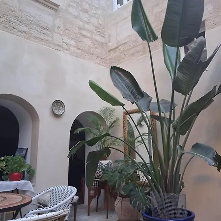 D'hote Maison Magda Bed & Breakfast 4*
