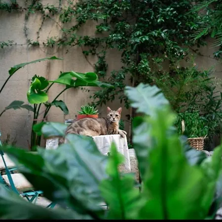 D'hote Maison Magda Bed & Breakfast Beaucaire (Gard)
