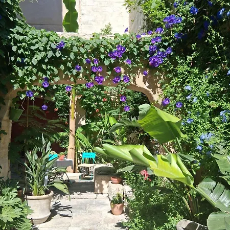 D'hote Maison Magda Bed & Breakfast 4*